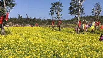 春色余温,踏青赏花，感受大自然的温柔余韵